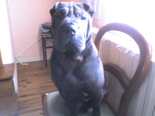 ma fifille