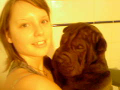 mii et ma chienne
