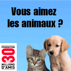 signer le pacte si vous aimez les animaux!!!